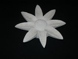 girasole (2).jpg
